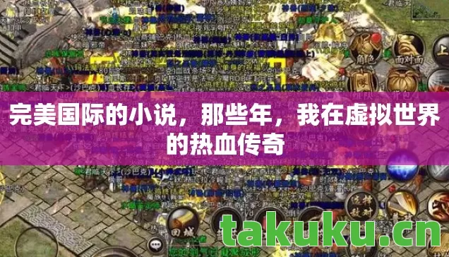 我在虚拟世界的热血传奇图片