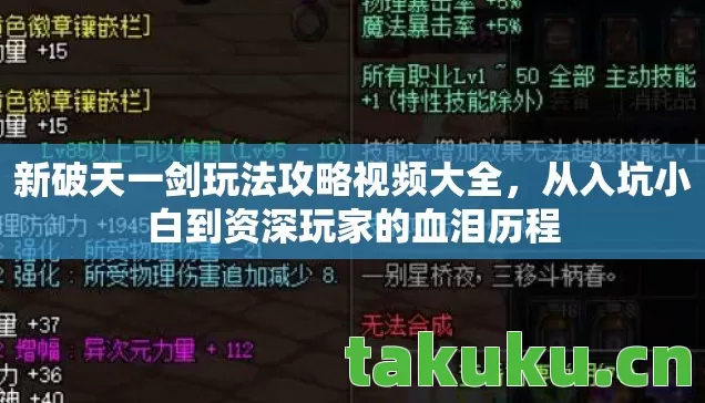 从入坑小白到资深玩家的血泪历程图片