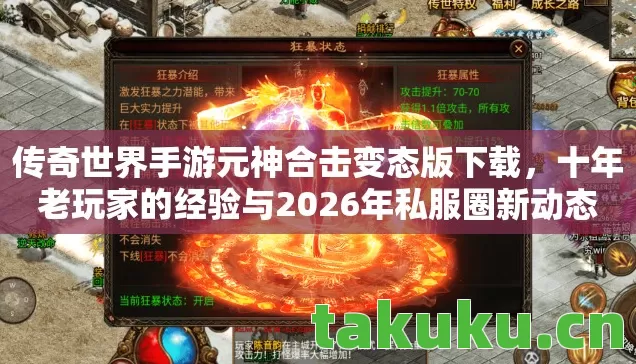 十年老玩家的经验与2026年私服圈新动态图片