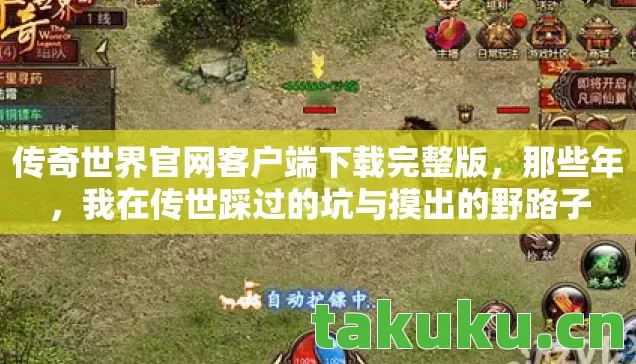 我在传世踩过的坑与摸出的野路子图片