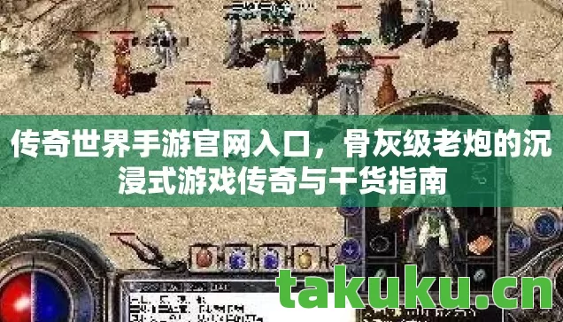 骨灰级老炮的沉浸式游戏传奇与干货指南图片