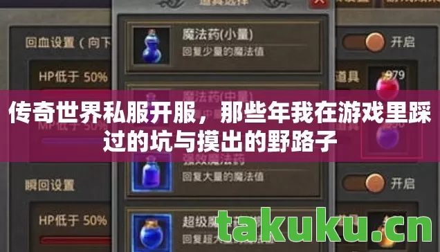 传奇世界私服开服，那些年我在游戏里踩过的坑与摸出的野路子