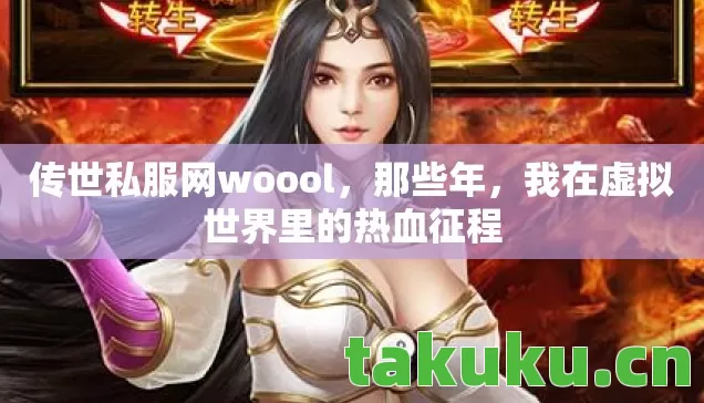 传世私服网woool，那些年，我在虚拟世界里的热血征程