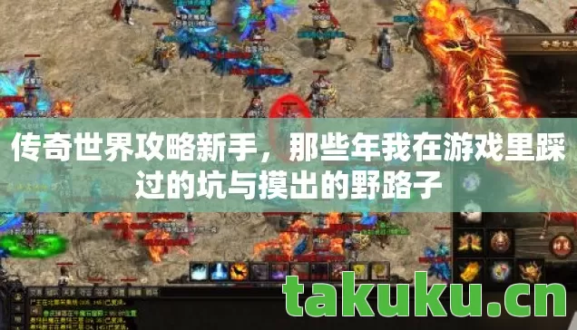 传奇世界攻略新手,那些年我在游戏里踩过的坑与摸出的野路子 传奇世界攻略新手,那些年我在游戏里踩过的坑与摸出的野路子
