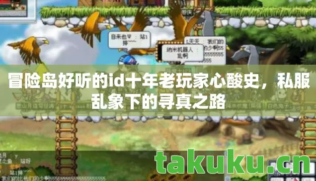 冒险岛好听的id十年老玩家心酸史，私服乱象下的寻真之路