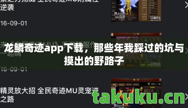 龙鳞奇迹app下载，那些年我踩过的坑与摸出的野路子