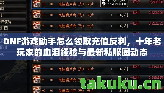 DNF游戏助手怎么领取充值反利，十年老玩家的血泪经验与最新私服圈动态