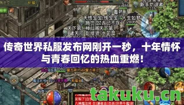 传奇世界私服发布网刚开一秒，十年情怀与青春回忆的热血重燃！
