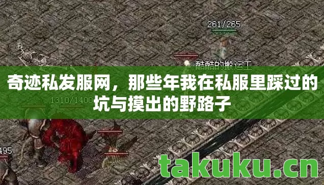 奇迹私发服网，那些年我在私服里踩过的坑与摸出的野路子