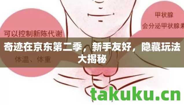 奇迹在京东第二季，新手友好，隐藏玩法大揭秘
