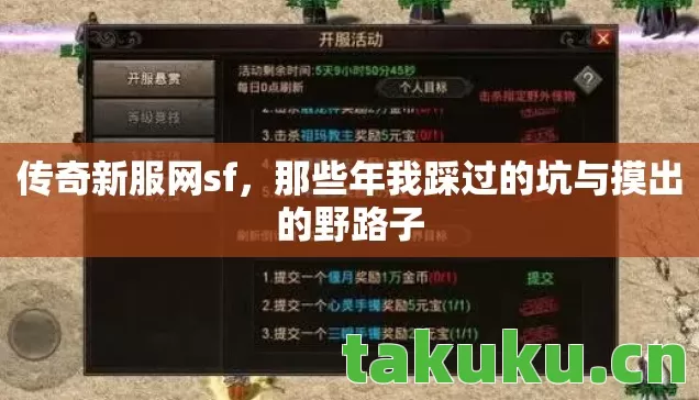 传奇新服网sf，那些年我踩过的坑与摸出的野路子