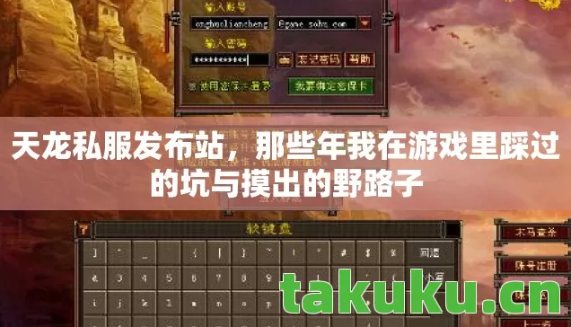 天龙私服发布站，那些年我在游戏里踩过的坑与摸出的野路子
