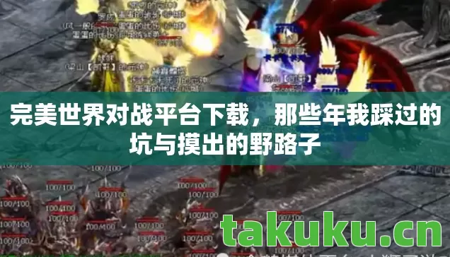 完美世界对战平台下载，那些年我踩过的坑与摸出的野路子