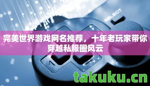 完美世界游戏网名推荐，十年老玩家带你穿越私服圈风云