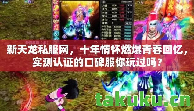 新天龙私服网，十年情怀燃爆青春回忆，实测认证的口碑服你玩过吗？