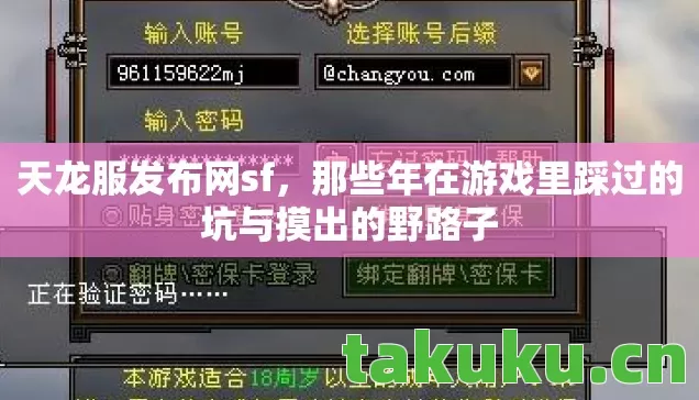 天龙服发布网sf，那些年在游戏里踩过的坑与摸出的野路子