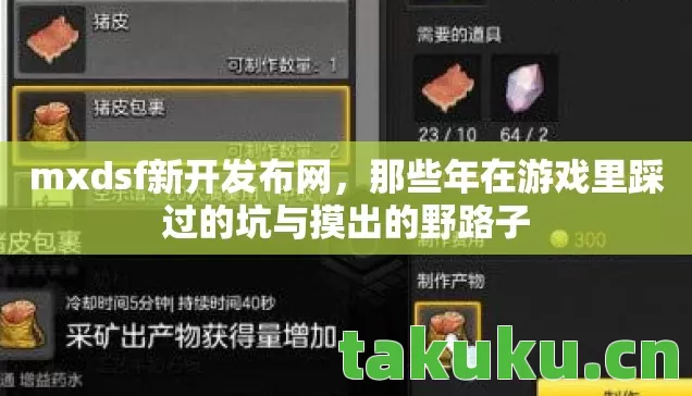 mxdsf新开发布网，那些年在游戏里踩过的坑与摸出的野路子