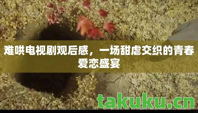 难哄电视剧观后感,一场甜虐交织的青春爱恋盛宴 难哄电视剧观后感,一场甜虐交织的青春爱恋盛宴