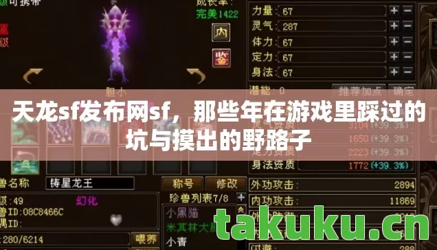 天龙sf发布网sf,那些年在游戏里踩过的坑与摸出的野路子 天龙sf发布网sf,那些年在游戏里踩过的坑与摸出的野路子