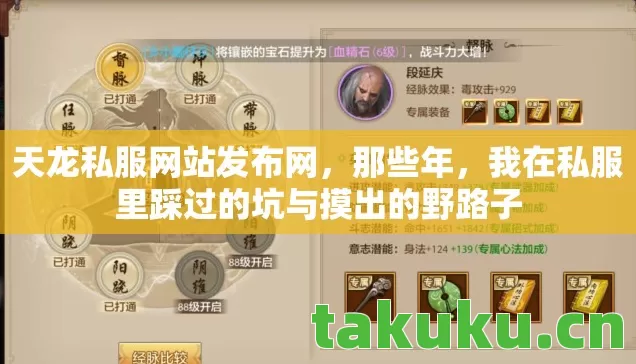 天龙私服网站发布网,那些年,我在私服里踩过的坑与摸出的野路子 天龙私服网站发布网,那些年,我在私服里踩过的坑与摸出的野路子
