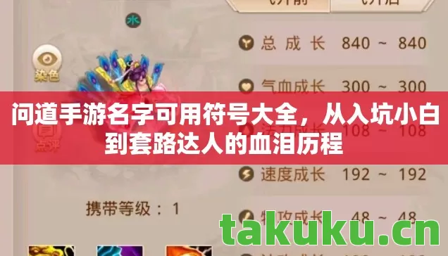 从入坑小白到套路达人的血泪历程图片