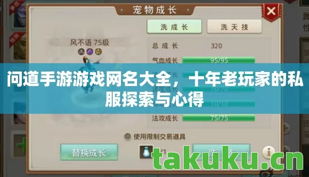 十年老玩家的私服探索与心得图片