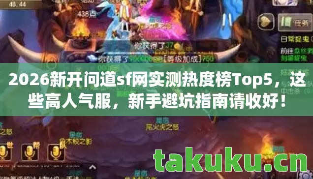 2026新开问道sf网实测热度榜Top5图片