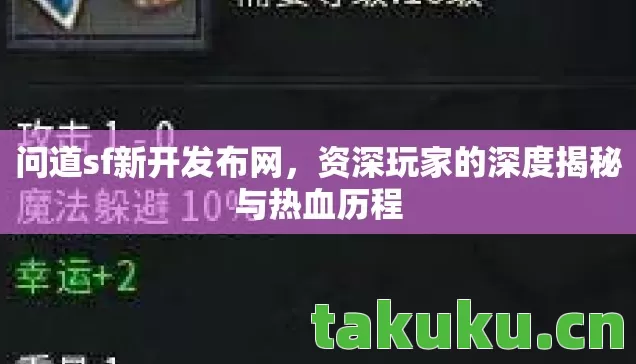 资深玩家的深度揭秘与热血历程图片