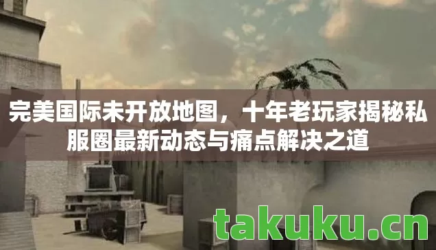 十年老玩家揭秘私服圈最新动态与痛点解决之道图片