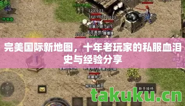 十年老玩家的私服血泪史与经验分享图片