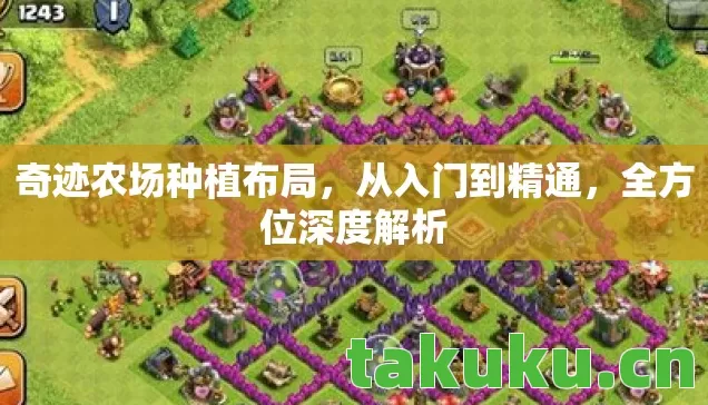 奇迹农场种植布局图片