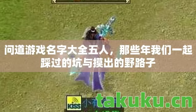那些年我们一起踩过的坑与摸出的野路子图片