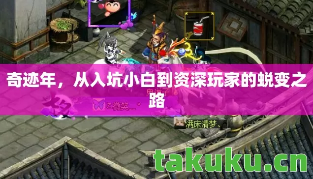 从入坑小白到资深玩家的蜕变之路图片