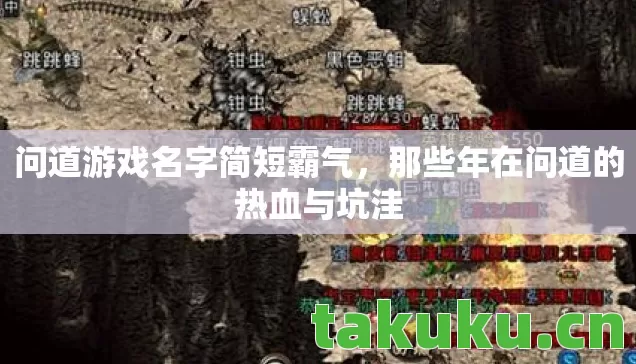 那些年在问道的热血与坑洼图片
