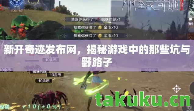 揭秘游戏中的那些坑与野路子图片