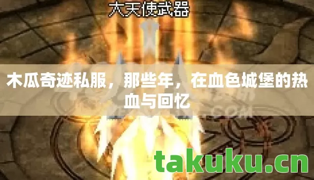 在血色城堡的热血与回忆图片