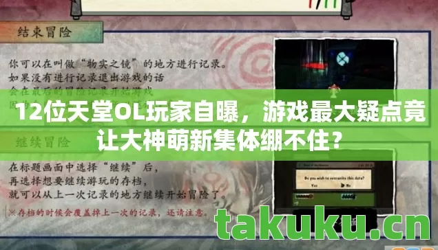 游戏最大疑点竟让大神萌新集体绷不住图片