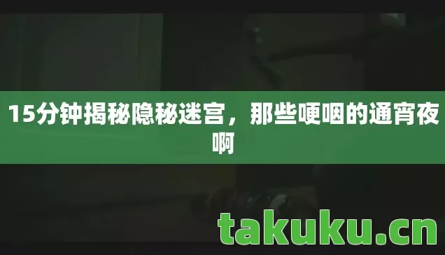 15分钟揭秘隐秘迷宫图片