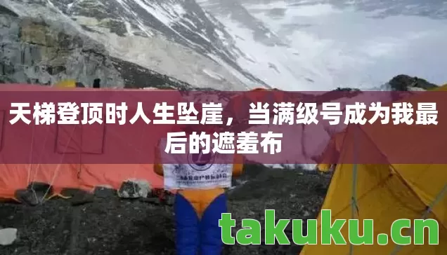 天梯登顶时人生坠崖,当满级号成为我最后的遮羞布 天梯登顶时人生坠崖,当满级号成为我最后的遮羞布