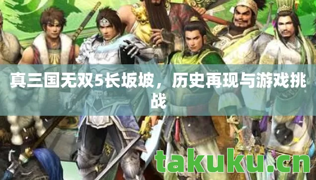 真三国无双5长坂坡图片