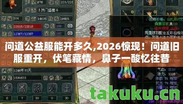 问道公益服能开多久图片