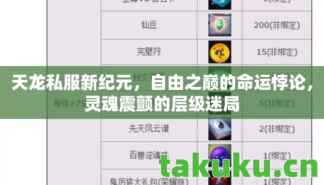 天龙私服新纪元，自由之巅的命运悖论，灵魂震颤的层级迷局
